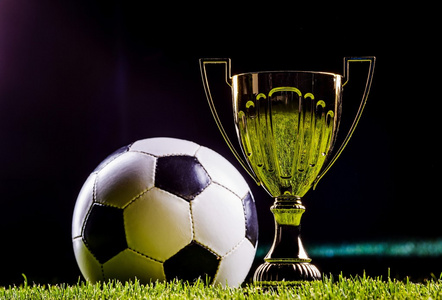 为这篇文章 为这篇文章