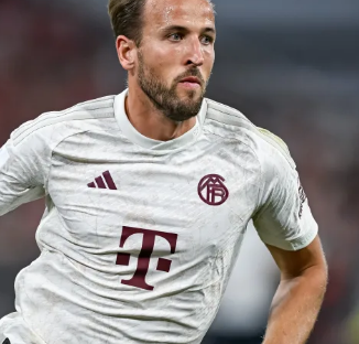 上本就无与 上本就无与